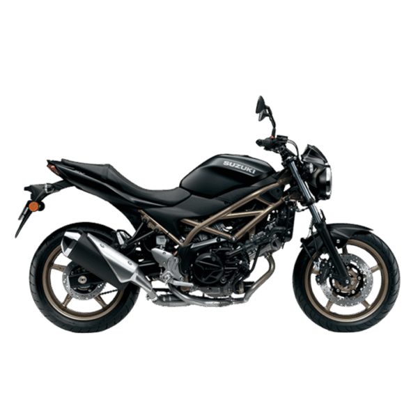SV 650：圖片 2