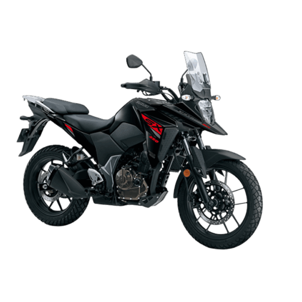V-STROM 250SX：圖片 3
