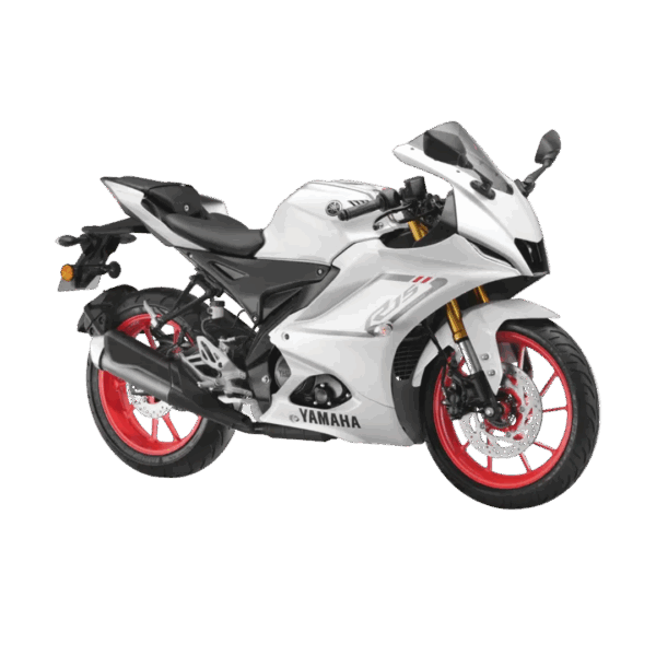 R15 V4：圖片 4